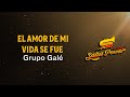 El Amor De Mi Vida Se Fue, Grupo Galé, Video Letra - Salsa Power