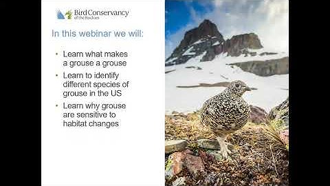 Grouse Biology 101 Webinar