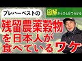 【食の安全】日本人がプレハーベストの残留農薬穀物を食べているワケ【人と食の大問題②】