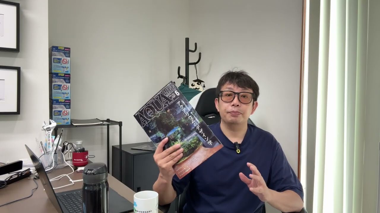 How to Create Great Aquarium Designs - YouTube