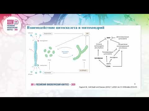 Video: A e përshpejton metabolizmin t3?