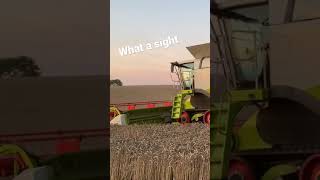 CLAAS Lexion 770