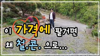 no.617.철근콘크리트 건물이 산속에 있어서 이 가격인건지..신경 쓰신거.. 표 납니다