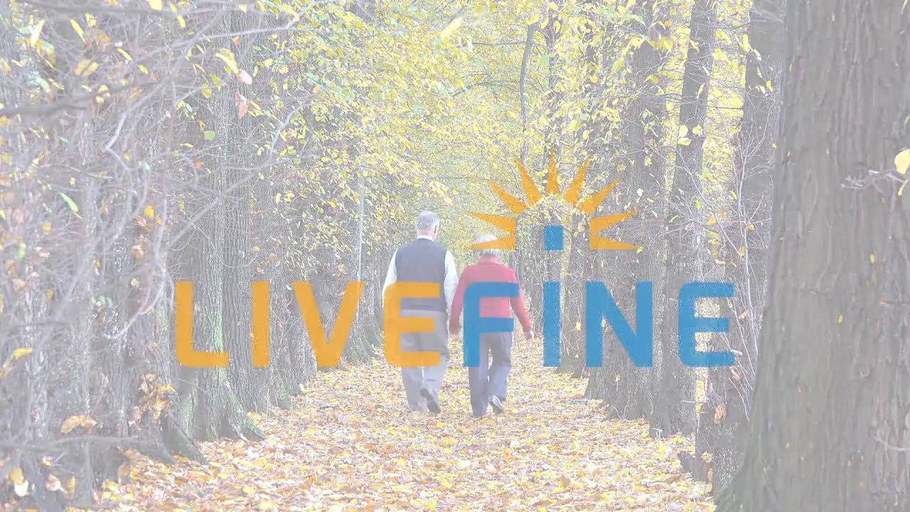 LiveFine Automatic Pill Dispenser Solid Top YouTube