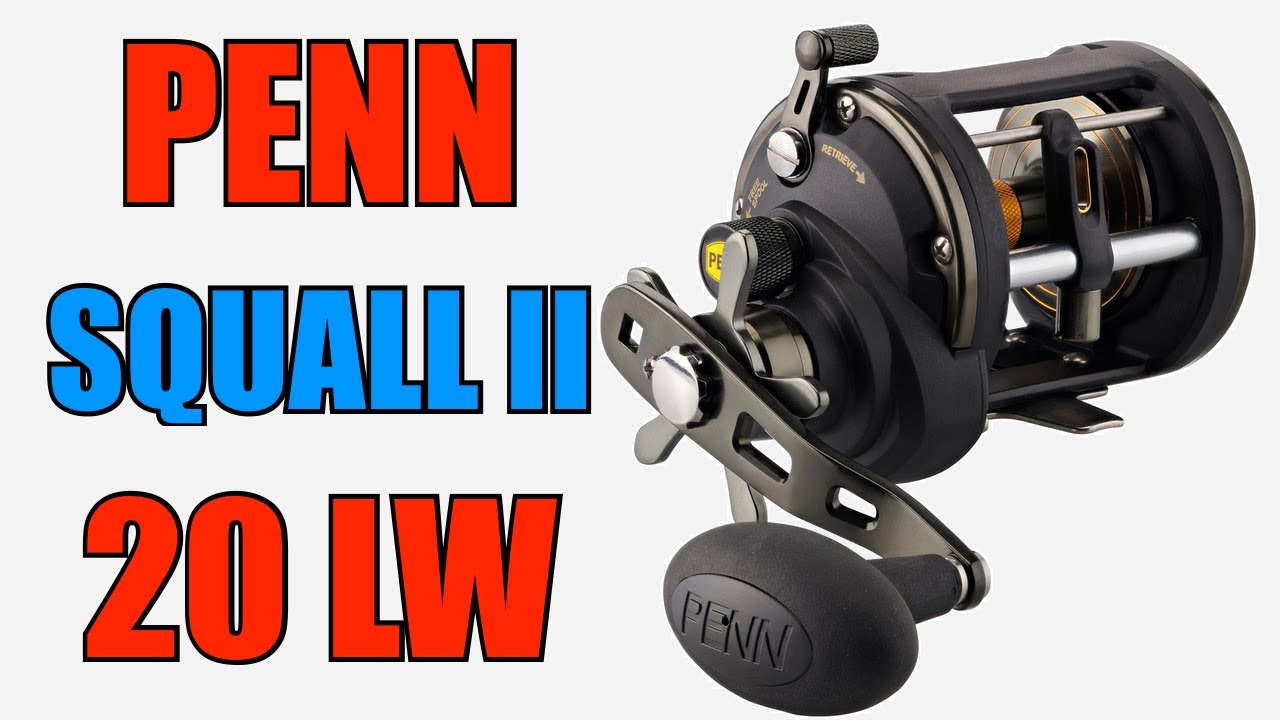 Penn SQLII20LW Squall II Levelwind Reel Review