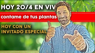 HOY JUEVES 20-4-2023  EN VIVO!! INVITADO ESPECIAL ! RESPONDO TUS CONSULTAS