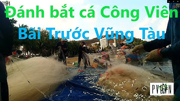 PVDVN- Ochtendvissen in Bai Truoc Park, Vung Tau City