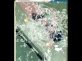泳ぐ水野亜美