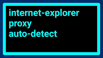 How to view Internet Explorer auto-detected proxy settings?