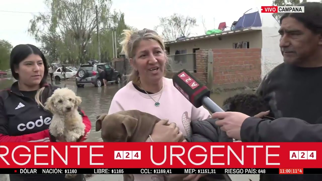 Inundaciones en Campana: familias intentan volver a su casa con sus mascotas