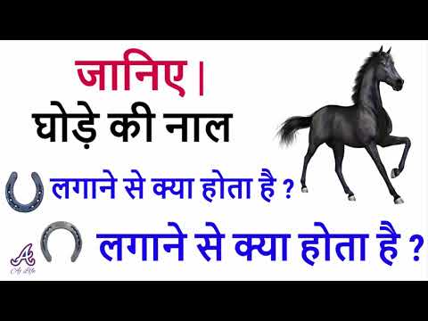 à¤à¤° à¤® à¤ à¤² à¤ à¤¡ à¤ à¤¨ à¤² à¤²à¤ à¤¹ à¤¤ à¤ à¤¨ à¤ à¤à¤¸à¤² à¤¹ à¤¯ à¤¨à¤à¤² à¤à¤° à¤¸ à¤¥ à¤® à¤ à¤¨ à¤²à¤ à¤¨ à¤ à¤¤à¤° à¤ youtube à¤à¤° à¤® à¤ à¤² à¤ à¤¡ à¤ à¤¨ à¤² à¤²à¤ à¤¹