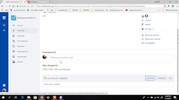 How to see pdf file on git