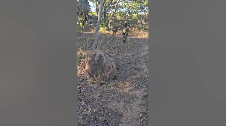 The NASDU Overseas Endorsed International Tracker Dog Handler Course