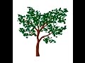 How to draw a tree in Adobe Illustrator 🌳𝐂𝐮𝐬𝐭𝐨𝐦 brushes 🖌️