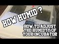 Get the correct humidity in your incubator