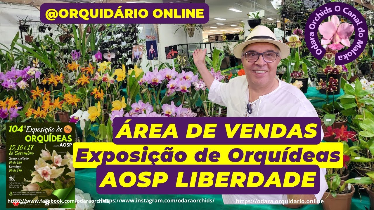 Área de Vendas da Exposição de Orquídeas AOSP 2023 Liberdade Boa variedade e bons preços Não Perca!