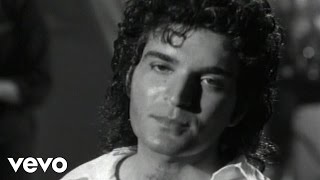 Gino Vannelli - Wild Horses chords