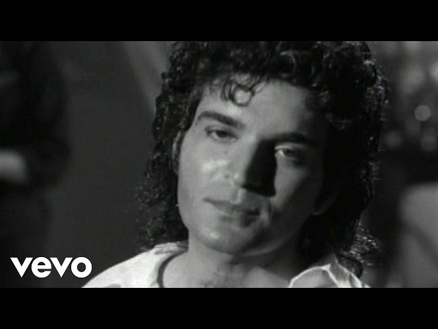 GINO VANNELLI - WILD HORSES