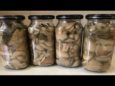 Маринованные Маслята! Вкусный лёгкий рецепт!