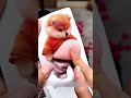 3D Shiba Safety Corner Sticker 🐶 Cute Anti-Bump Protector #shorts #safety #cute