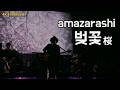 [4K] Amazarashi - 벚꽃 (Acoustic live ver.) | 프리미엄 라이브 천 분의 하룻밤 이야기 '스타라이트'