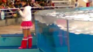 20100124(004).mp4