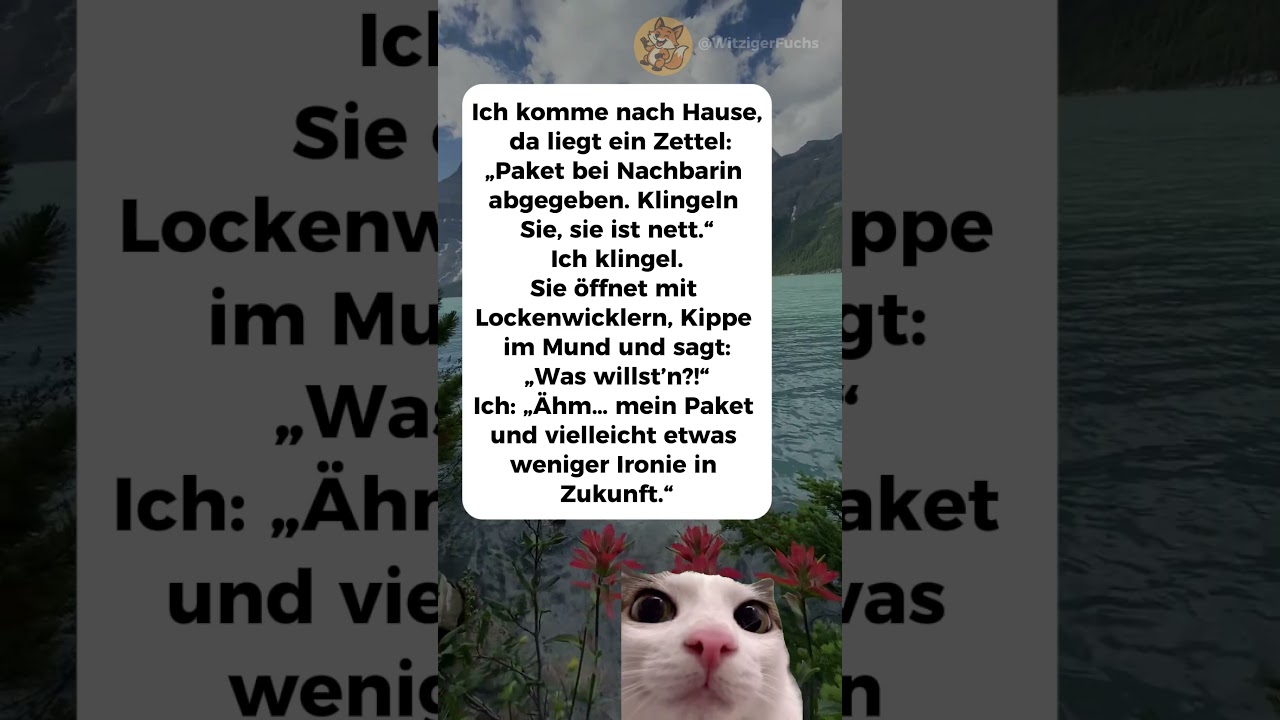 Paket bei Nachbarin abgegeben... 📦🤣