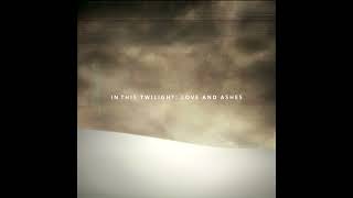 In this Twilight (Love and Ashes) - NIN Remix - Stuart Roland