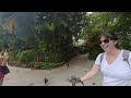 Bird Feeding in Kauai, Hawaii [VR 180]