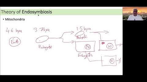Genetics L5 Extranuclear Inheritance