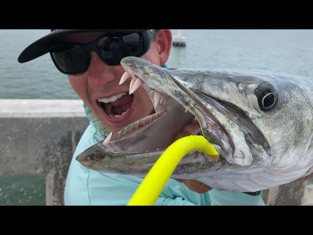 The Best Barracuda Lure (For Fishing The Flats With Light Tackle)