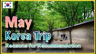 ๐ฐ๐ท May Travel Guide to Korea | Reasons to Visit & Things to Watch Out For