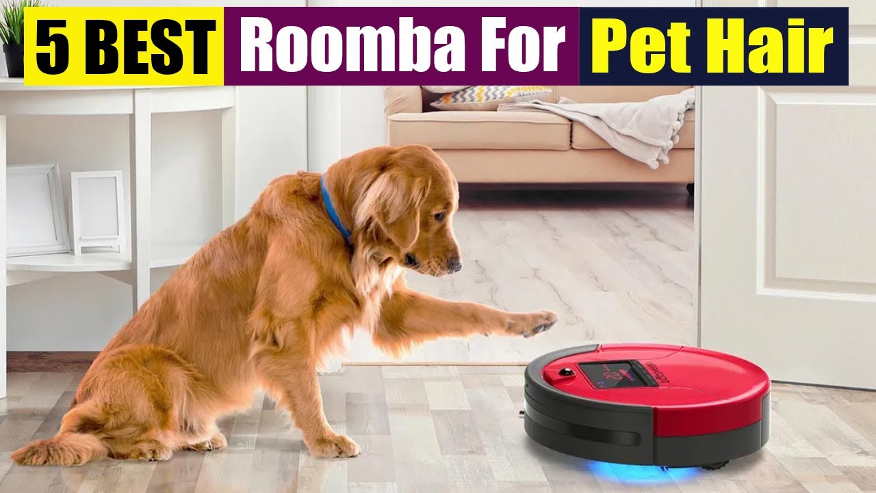 Best Roomba For Pet Hair In 2023 - YouTube