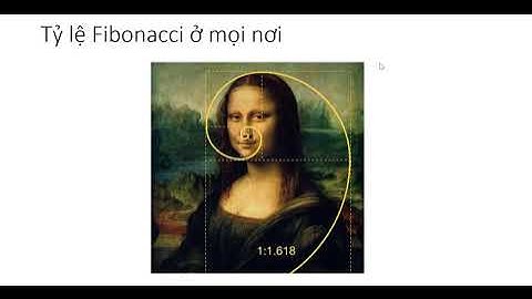 Bài 15  Công cụ Fibonacci Retracement là gì Hướng dẫn sử dụng chỉ báo Fibo - phân tích kỹ thuật