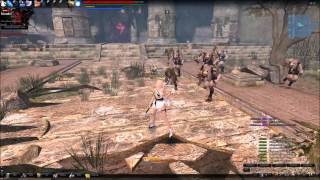 Vindictus) How to deal maximum damage as Arisha