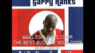 Heaven In Her Eyes - Gappy Ranks - Put The Stereo On - 2010