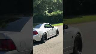 Terminator Cobra Having Some Fun Leaving Cars And Coffee #mustang #terminatorcobra #cobra #ford