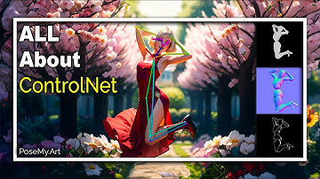 What, Where, and How About ControlNet ✨