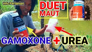 Gramoxon mixed with urea || Burnt weeds