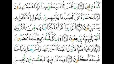 036 سورة يس  من الاية 28 إلى 34