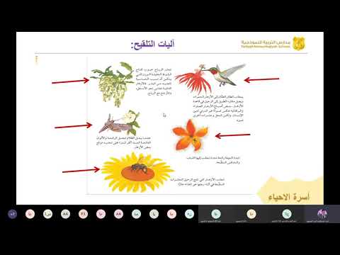 الفترة الضوئية الاستاذ احمد الهشوم