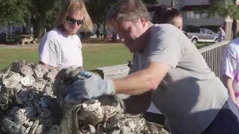 Marsh Restoration Project
