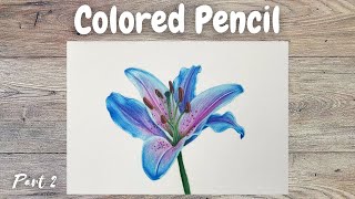 Botanical Drawing With Colored Pencils Tutorial Part 2