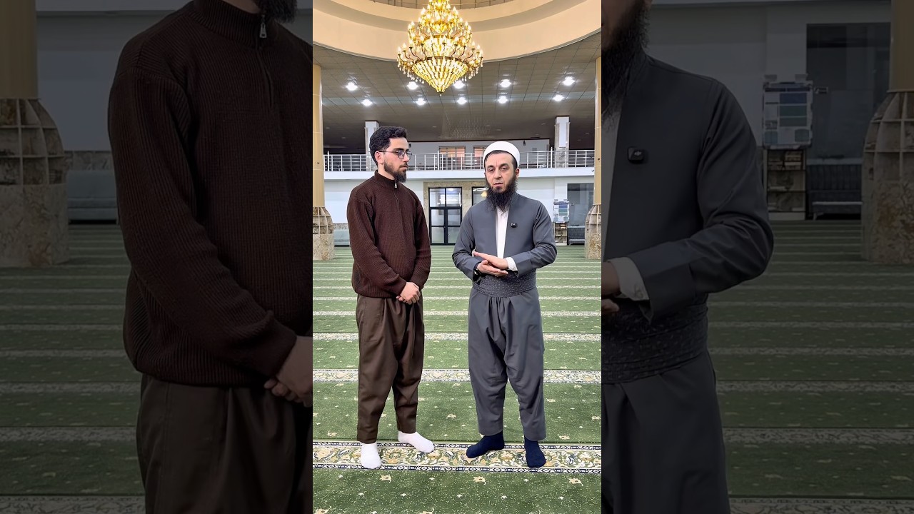 دبيت نڤێژا تە لێنەبیت