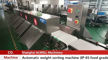 Automatic weight sorting machine