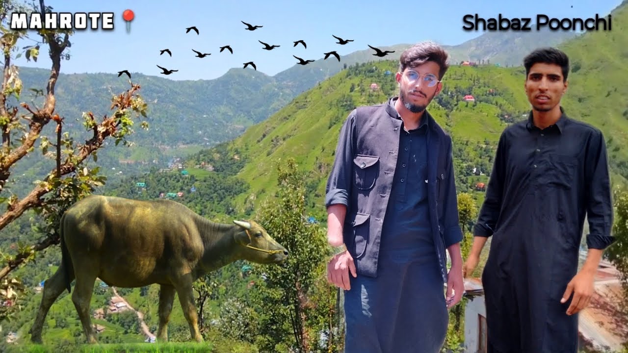 New Gojri Song 2024   || Sajjad Chechi