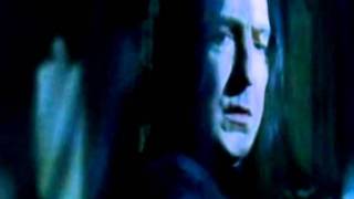 Snape & Lily- Carousel Vidlet