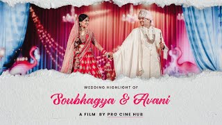 Soubhagya &amp; Avani | Best Cinematic Hindu Wedding Highlight | Jammu | Pro Cine Hub