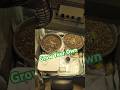 Grow Your Own #new #plants #youtubeshorts #subscribe #cannabiseducation #inspiration