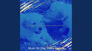 Pulsating Moods for Walking with Your Dog